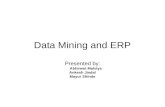 Data Mining and ERP Presented by: Abhineet Malviya Ankesh Jindal Mayur Shinde.