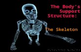 The Body’s Support Structure: The Skeleton Functions of the skeleton: o Provides shape and support o Enables you to move o Protects your internal organs.