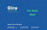 GIRA Meat Club 2003 Far East: Beef Marie-Pierre Boudet.