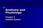 Anatomy and Physiology Chapter 6 Skeletal System.
