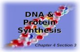 DNA & Protein Synthesis Chapter 4 Section 3. Vocabulary 1. DNA 2. nucleotide 3. nitrogen bases 4. base pairing 5. double helix 6. DNA replication 7. gene.