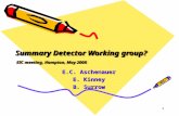 1 Summary Detector Working group? EIC meeting, Hampton, May 2008 E.C. Aschenauer E. Kinney B. Surrow.