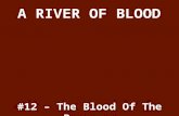 #12 – The Blood Of The Passover.  We must be prepared for the coming judgment and wrath of God.  Only those protected by the blood of the Lamb will.