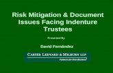 Risk Mitigation & Document Issues Facing Indenture Trustees Presented By: David Fernández.