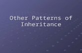 Other Patterns of Inheritance. Think About It! What is a pattern? Give an example. What is inheritance?