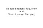 Recombination Frequency and Gene Linkage Mapping.