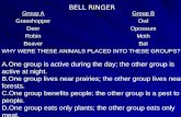 BELL RINGER Group A GrasshopperDeerRobinBeaver Group B OwlOpossumMothBat WHY WERE THESE ANIMALS PLACED INTO THESE GROUPS? A.One group is active during.