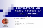 Identifying DNS heavy hitters in root servers data Minas Gjoka CAIDA University of California, Irvine.