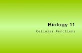 Cellular Functions. Chapter 1 –The Cell Theory –Cell Structure –Organelles –Animal and Plant Cells Chapter 2 –Nutrients –Nucleic Acids –Cell Membrane.