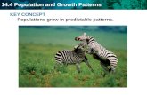 14.4 Population and Growth Patterns KEY CONCEPT Populations grow in predictable patterns.