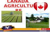 CANADA AGRICULTUR E. The placements are for large crop farms, some mixed beef and crop farms, so some equipment experience is a must. We need 10 good.