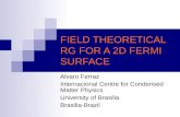 FIELD THEORETICAL RG FOR A 2D FERMI SURFACE Alvaro Ferraz Internacional Centre for Condensed Matter Physics University of Brasilia Brasilia-Brazil.