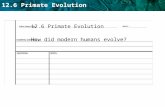 12.6 Primate Evolution How did modern humans evolve?