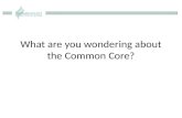 What are you wondering about the Common Core?. Transitioning to the Common Core State Standards Kay Sammons John SanGiovanni (Intermediate) .