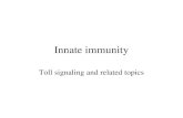 Innate immunity Toll signaling and related topics.