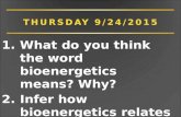 1.What do you think the word bioenergetics means? Why? 2.Infer how bioenergetics relates to muscles.