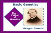 Basic Genetics Gregor Mendel The Father of Genetics.