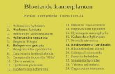 Bloeiende kamerplanten 1.Achimenes hybriden 2.Aechmea fasciata 3.Anthurium scherzerianum 4.Aphelandra squarosa 5.Begonia 'Rieger' 6.Beloperone guttata.