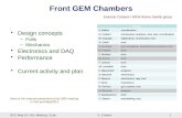 Front GEM Chambers Design concepts –Foils –Mechanics Electronics and DAQ Performance Current activity and plan Evaristo Cisbani / INFN-Rome Sanità group.