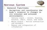 Nervous System I.General Functions A.Recognizes and coordinates the body’s response to changes in its internal and external environments. 1.Sensory input.