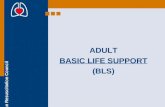 European Resuscitation Council ADULT BASIC LIFE SUPPORT (BLS)