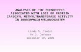 ANALYSIS OF THE PHENOTYPES ASSOCIATED WITH LOSS OF PROTEIN CARBOXYL METHYLTRANSFERASE ACTIVITY IN DROSOPHILA MELANOGASTER Linda S. Tanini Ph.D. Defense.