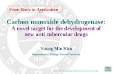 Carbon monoxide dehydrogenase: A novel target for the development of new anti-tubercular drugs Young Min Kim Department of Biology, Yonsei University Molecular.