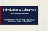 Individualism & Collectivism Michael Gallagher. Victoria Gathogo. Paige Gmyrek. Briana Goode. Lori He. Cedrick Houston. Cross-Cultural Management Project.