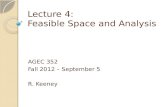 Lecture 4: Feasible Space and Analysis AGEC 352 Fall 2012 – September 5 R. Keeney.