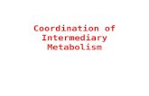 Coordination of Intermediary Metabolism. ATP Homeostasis Energy Consumption (adult woman/day) –6300-7500 kJ (>200 mol ATP) –Vigorous exercise: 100x rate.