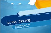 SCUBA Diving Presentation By Carolyn Bevans. Why I Love SCUBA It is truly unlike anything else you will ever experience!!! I love being underwater Every.