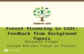 Forest financing in SIDS: Feedback from Background Papers Benjamin Singer United Nations Forum on Forests.