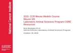 National Cancer Institute 2015 CCR Mouse Models Course Mouse 101 Laboratory Animal Sciences Program CORE Resources Rick Bedigian Ph.D Interim Director.