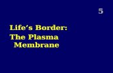 5 Life’s Border: The Plasma Membrane. I.Introduction (Sections 5.1 and 5.2) A.Importance of the plasma membrane (seen in malfunctioning transport in cystic.
