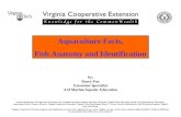 Aquaculture Facts, Fish Anatomy and Identification Issued in furtherance of Cooperative Extension work, Virginia Polytechnic Institute and State University,