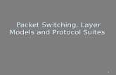 1 Packet Switching, Layer Models and Protocol Suites.