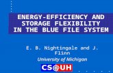 ENERGY-EFFICIENCY AND STORAGE FLEXIBILITY IN THE BLUE FILE SYSTEM E. B. Nightingale and J. Flinn University of Michigan.