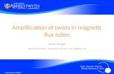 Amplification of twists in magnetic flux tubes Youra Taroyan Department of Physics, Aberystwyth University, email: yot@aber.ac.uk users.aber.ac.uk/djp12.