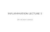 INFLAMMATION LECTURE 5 DR HEYAM AWAD. MOROHOLOGY OF ACUTE INFLAMMATION DILATED BLOOD VESSELS. OEDEMA. INFLAMMATORY CELLS.
