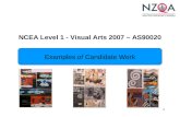 1 NCEA Level 1 - Visual Arts 2007 – AS90020 Examples of Candidate Work.