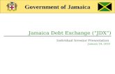 Government of Jamaica Jamaica Debt Exchange (“JDX”) Individual Investor Presentation January 19, 2010.