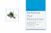 Herbal Defense for Parasites An Exploration of the Importance of Anthelmintic Herbs for Wellness By Jackie Christensen, MS, HHP, NC, MH.