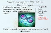 Wednesday Jan 29, 2014 Bell Ringer Agenda Quiz Cell Cycle Puzzle Notes HW: Cell Cycle Wkst Today’s goal: explain the process of cell division. If all cells.