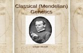 Classical (Mendelian) Genetics Gregor Mendel. Vocabulary Heredity: The passing of genetic traits from parents to childHeredity: The passing of genetic.