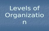 Levels of Organization. Put the five cards with the largest font in order from smallest to largest.