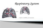 CNA 2 OSBN Curriculum. ◦ The Respiratory System  e=title=