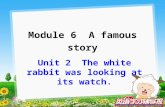 Unit 2 The white rabbit was looking at its watch. Module 6 A famous story.
