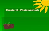 Chapter 8 - Photosynthesis. Overview of Photosynthesis and Respiration Overview of Photosynthesis and Respiration 3. PHOTOSYNTHESIS 5. RESPIRATION 1.
