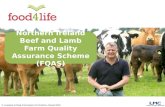 © Livestock & Meat Commission for Northern Ireland 2015 Northern Ireland Beef and Lamb Farm Quality Assurance Scheme (FQAS)