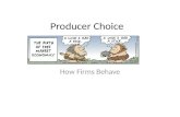 Producer Choice How Firms Behave. What are Profits?